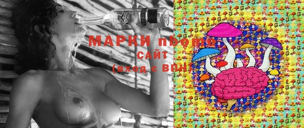гидра Приозерск