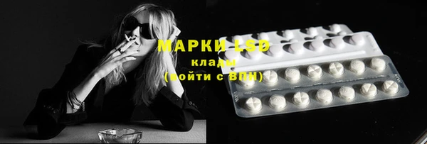 гидра Приозерск
