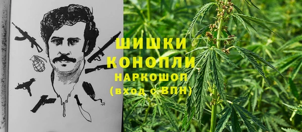 гидра Приозерск