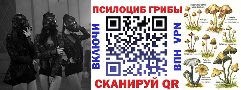 Галлюциногенные грибы Magic Shrooms  Выборг 