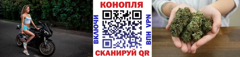 OMG ССЫЛКА  Выборг  Бошки Шишки Amnesia 